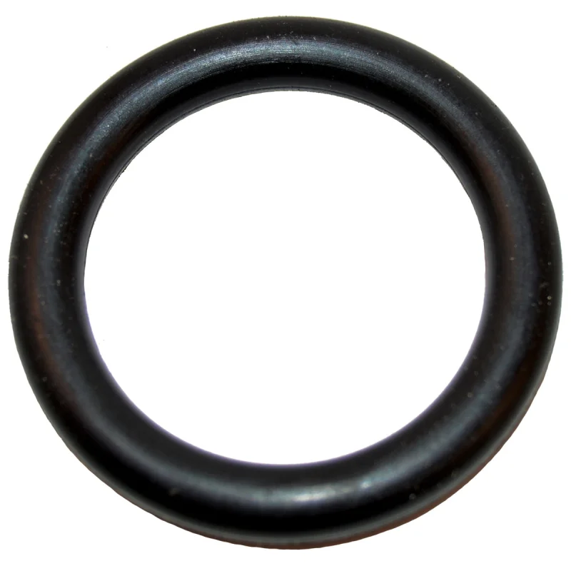 Hayward O-Ring #2-262 50D EPDM for Booster Pump W36060 | AX6060S