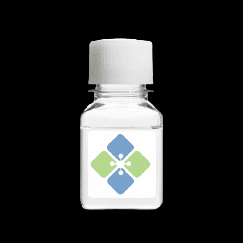 Human AKR1D1 Protein (Highly Pure)