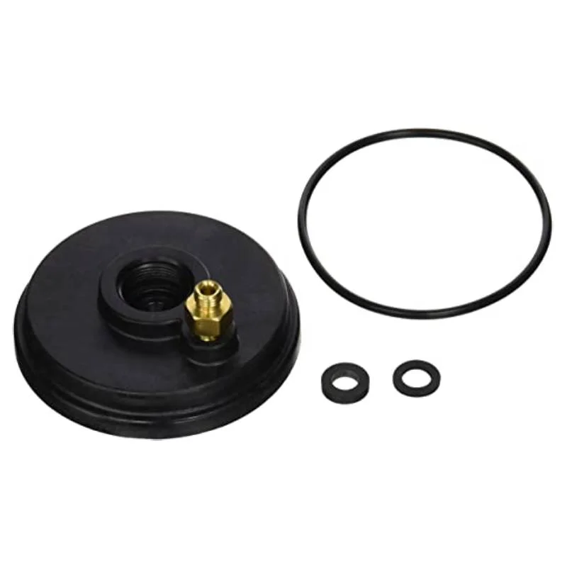 Jandy LXi Legacy Heater Cap Sensor and Pressure Switch O-Ring | R0455400
