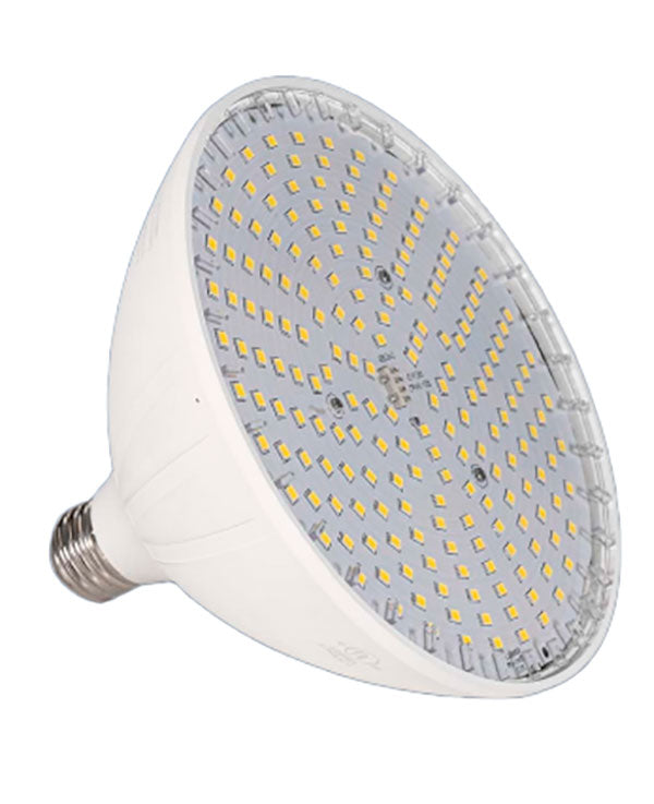 Vivid 360 LED Spa Light Bulb - 20 Watts 120 Volts - Warm White
