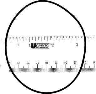 Pentair Back-Up Valve O-Ring, E13