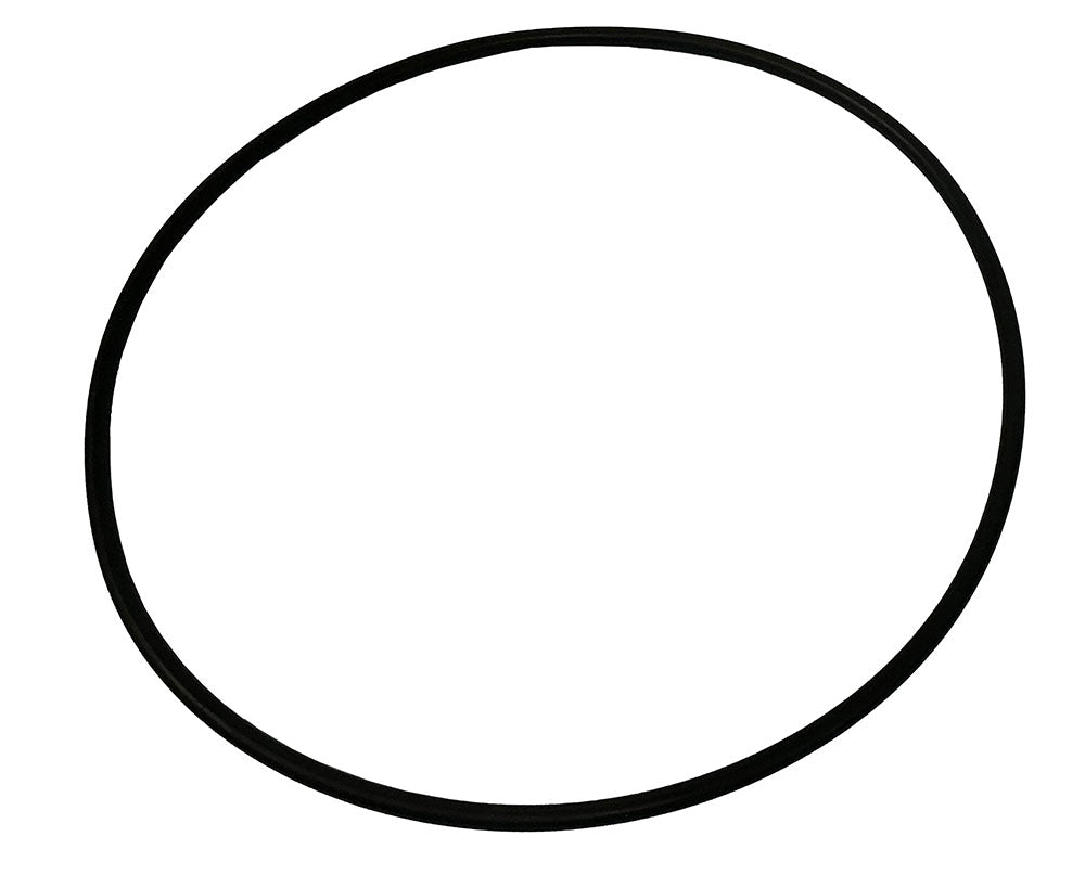 SW/RSW Strainer O-Ring for 4 Inch Strainers - 2015 and After