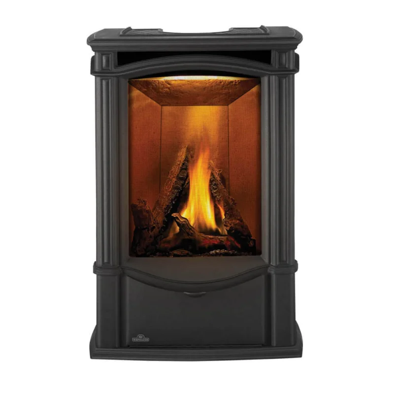 Napoleon Castlemore Gas Stove, Direct Vent, Natural Gas | GDS26N-1