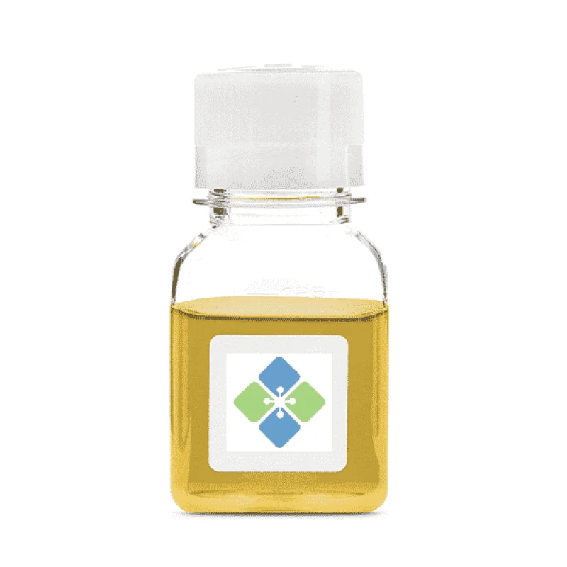 Normal Rabbit Serum (10%)