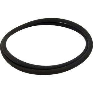 Pentair Air Bleeder O-Ring, 154661Z
