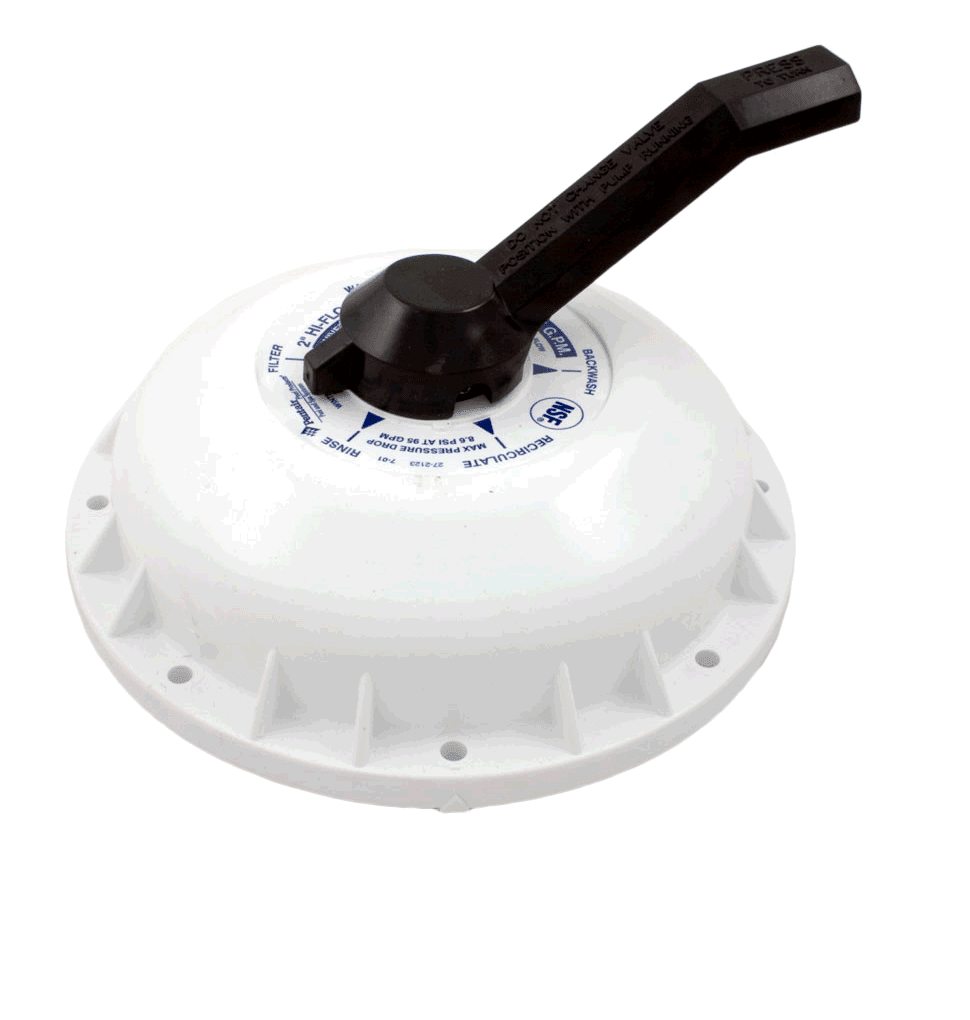 Pentair Valve Top Assembly 2"