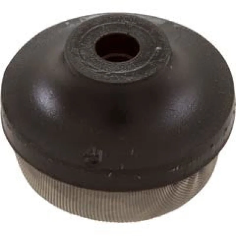 Pentair 1-1/4" Star Polymeric Air Relief Strainer | 191329