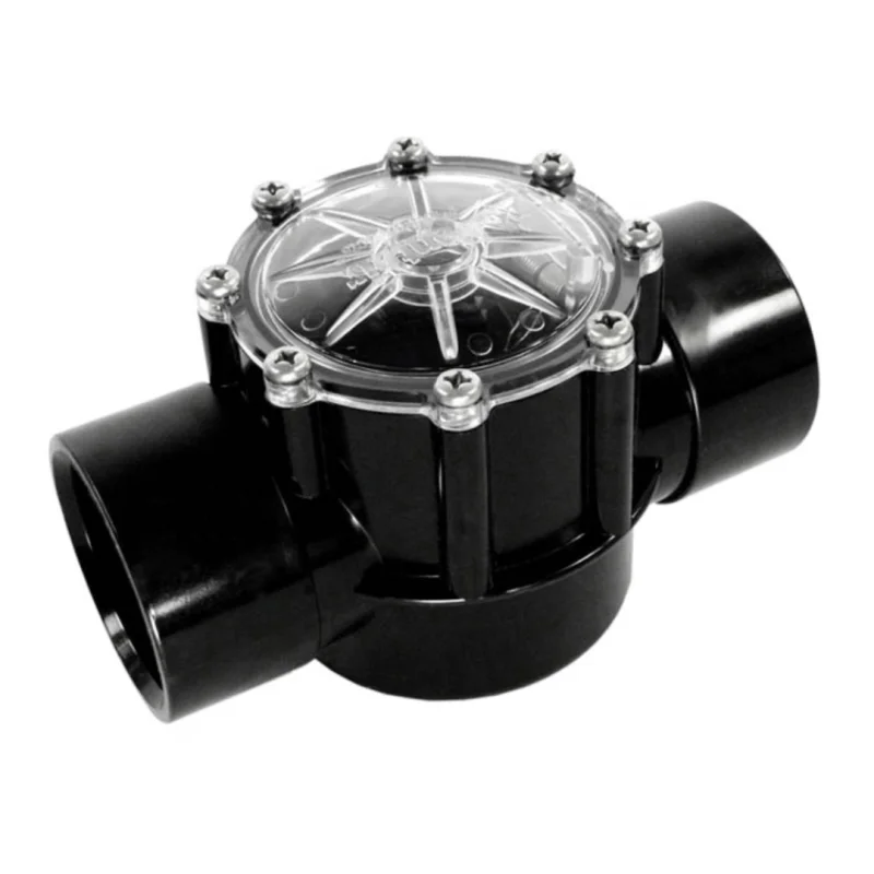 Pentair 263042 2" Straight CPVC Check Valve
