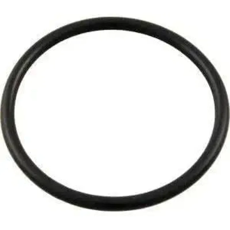 Pentair Lid ORing #436 (5.850.275) | 350013Z