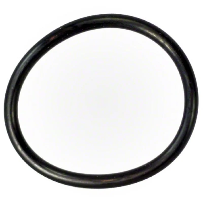 Pentair O-ring 86006900