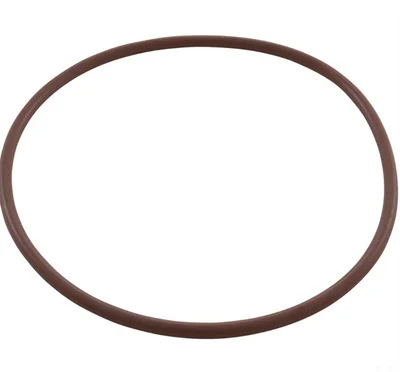 Pentair Rainbow Viton Lid O-Ring R172240 HC-3315 3330 3340