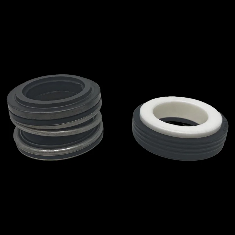 Pentair Shaft Seal Replacement - Superflo Vs Vst || 17351-0101S