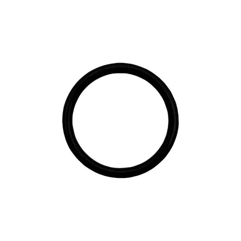 Polaris O-Ring for D22/D23 Assemblies | D24