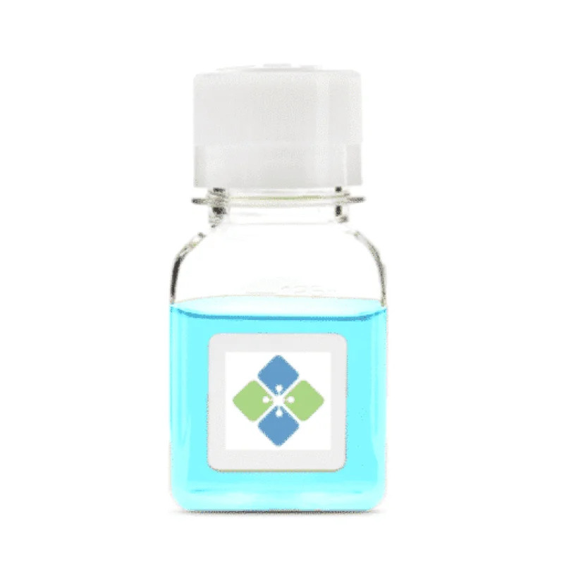 Protein G HTC Agarose Beads