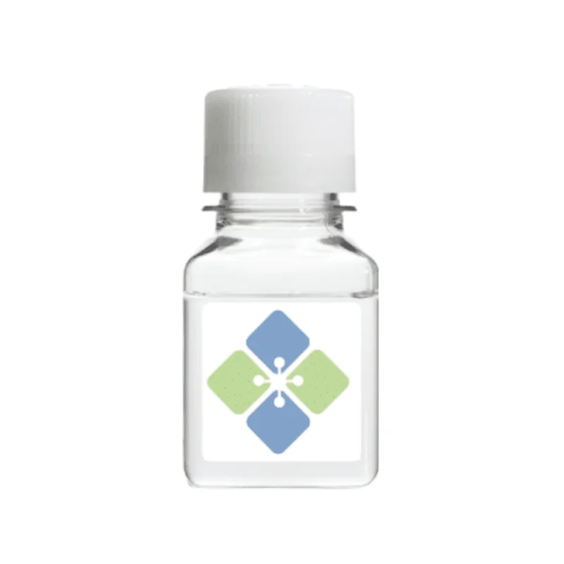 Pyridoxamin HRP Conjugate