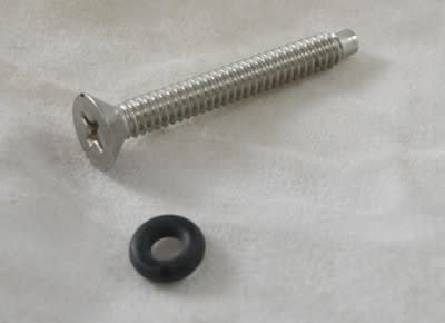 Jandy Pilot Screw w/ O-Ring
