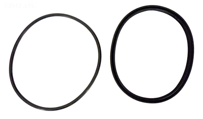 Jandy Pump Lid Seal Gasket with O-Ring
