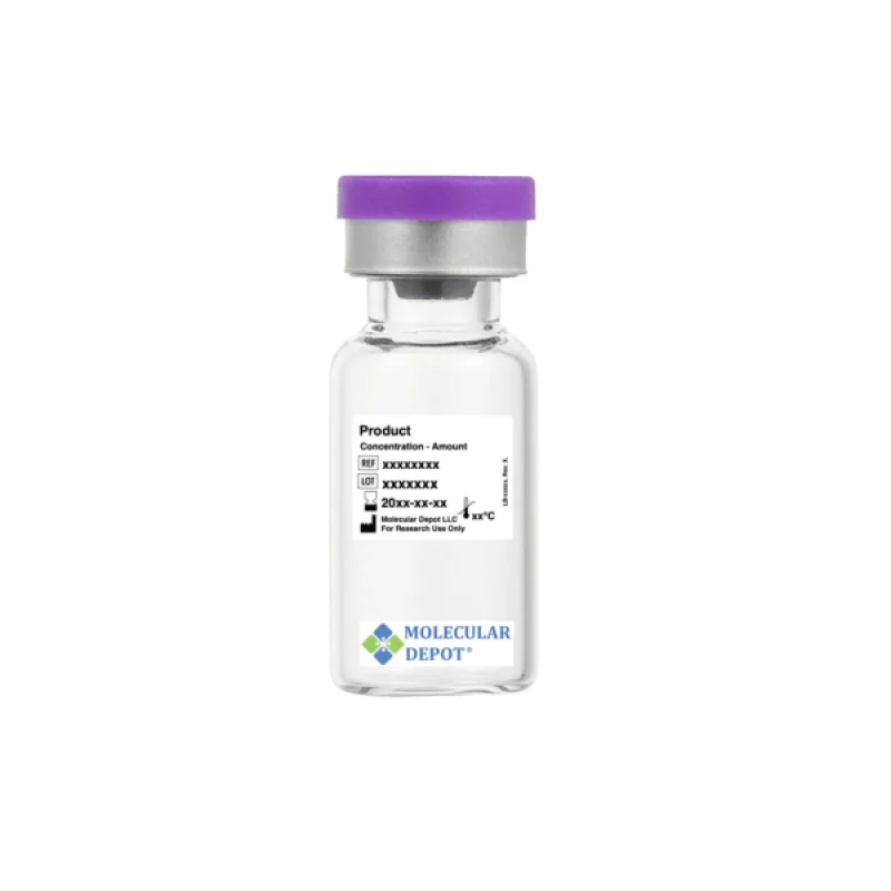Rabbit Polyclonal FOXP3 Antibody (Mouse, Rat)