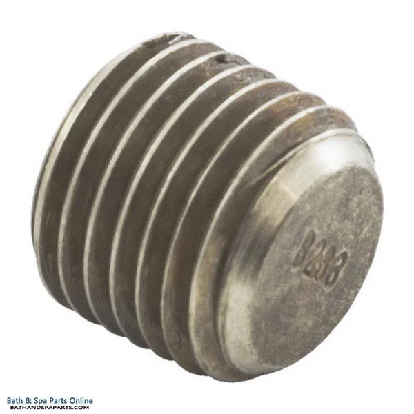 Raypak 55B Header Plug (501329)