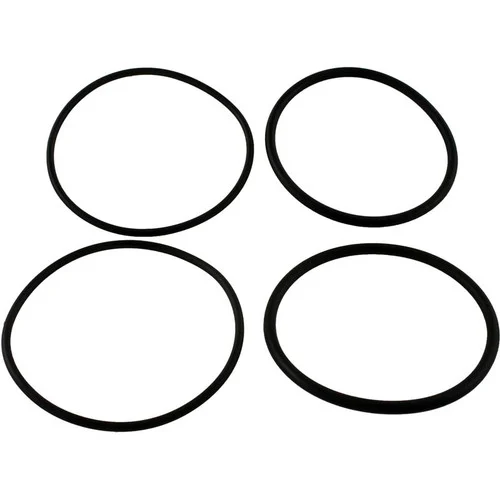 Raypak Rheem Oring Kit For 2″ Connector | 006724F