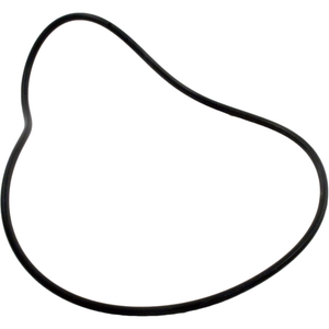 Pentair H-Series Valve Body O-Ring 071427