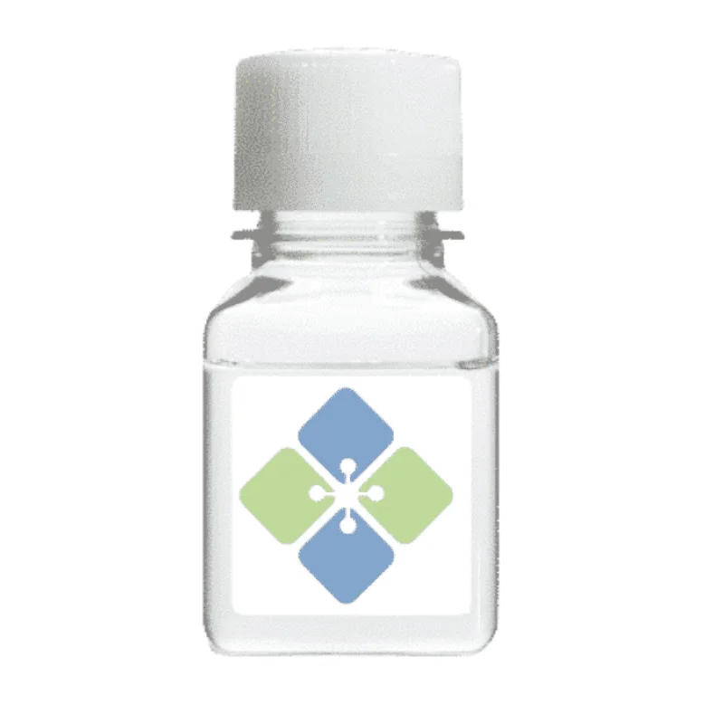 Streptavidin Recombinant