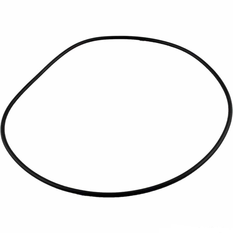 Jandy O-Ring, -264, Body