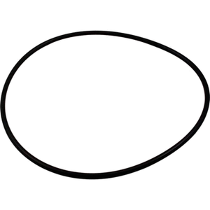 Pentair Union Diffuser O-Ring, U9-226Z