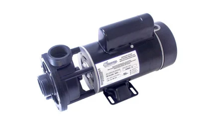 Waterway 1HP 115V 2-Speed Pump 300-3010 1 1/2 Inch