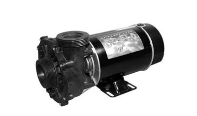 Waterway 1HP 115V 2-Speed Pump 300-3010SD Hi-Flo 48 Frame