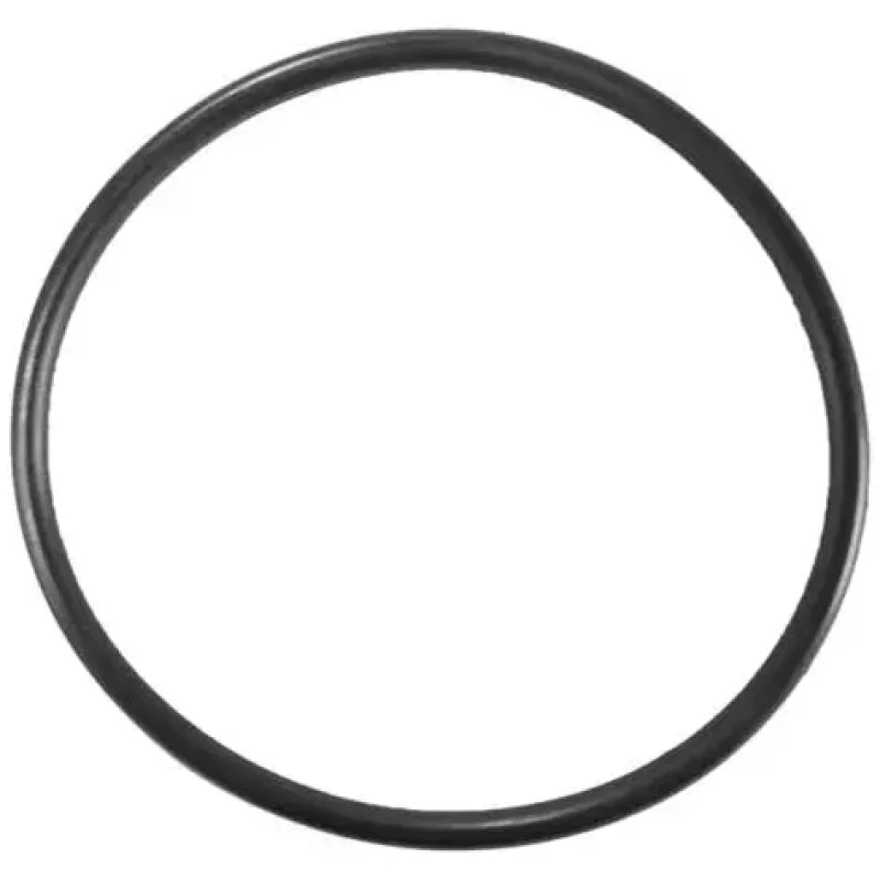 Waterway Crystal Water Filter Handle O-Ring by Aladdin | 805-0233 | O-244