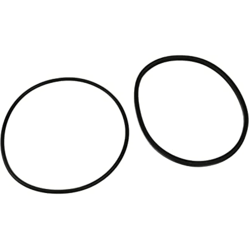 Zodiac Lid Seal and O-ring for Jandy ePump JEP, Stealth SHPF/SHPM - R0446200